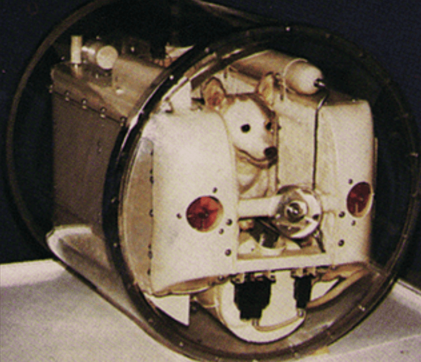 Ekran görüntüsü 2026-01-30 211551.png