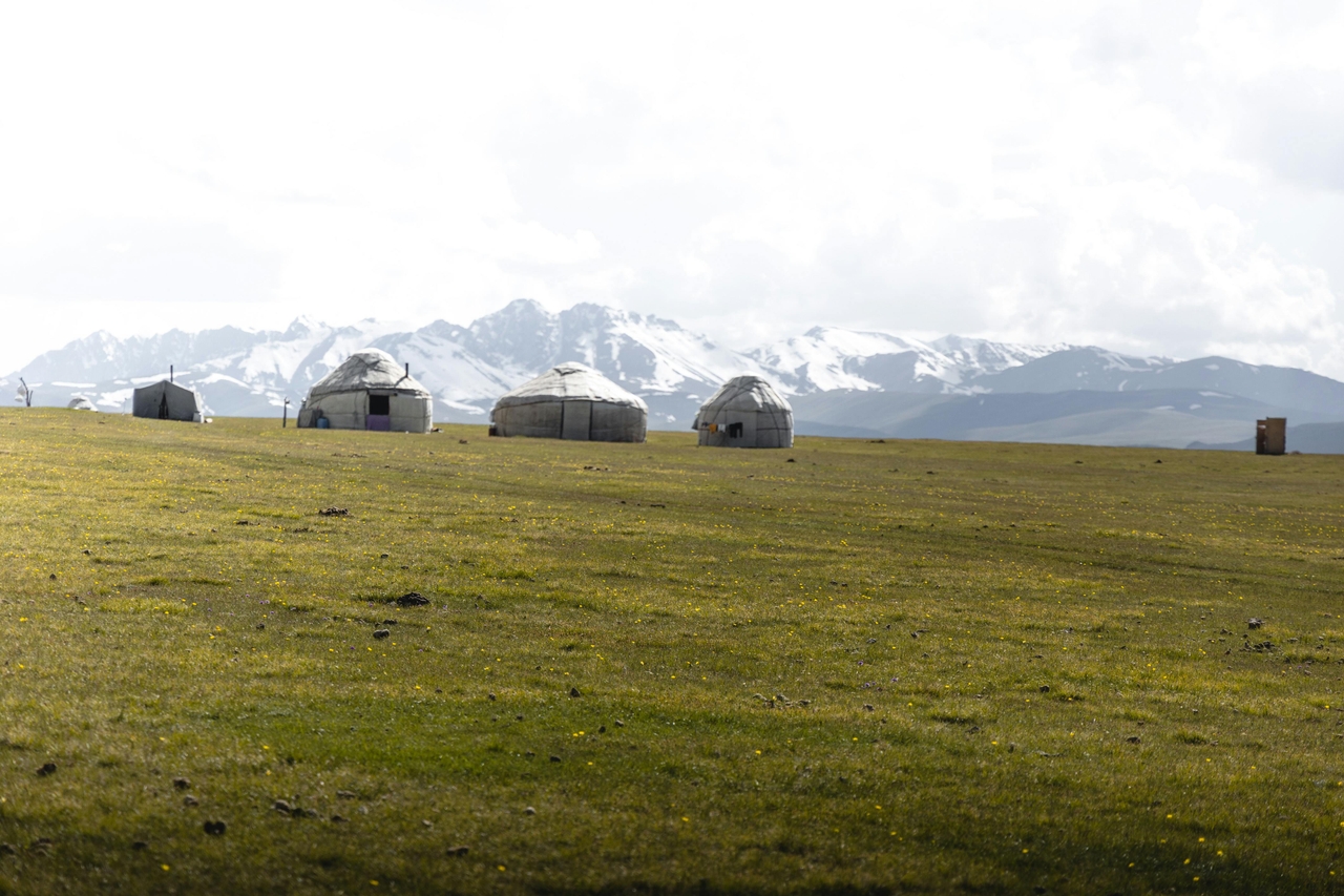 pexels-tomas-malik-793526-24778684 (1).jpg