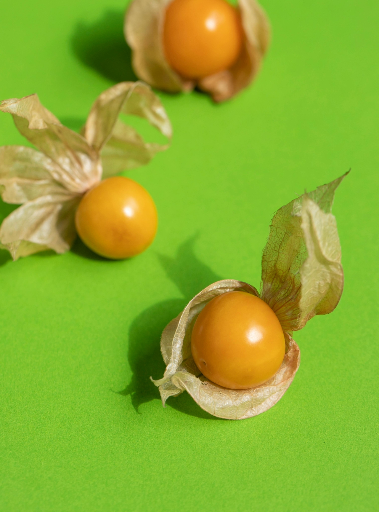 Altın Çilek (Physalis peruviana)