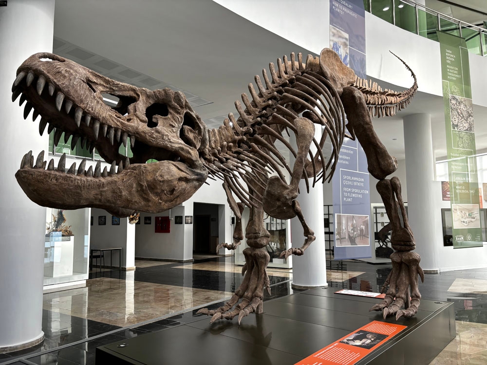 Atatürk Üniversitesi Biyoçeşitlilik Bilim Müzesi (ABBM)