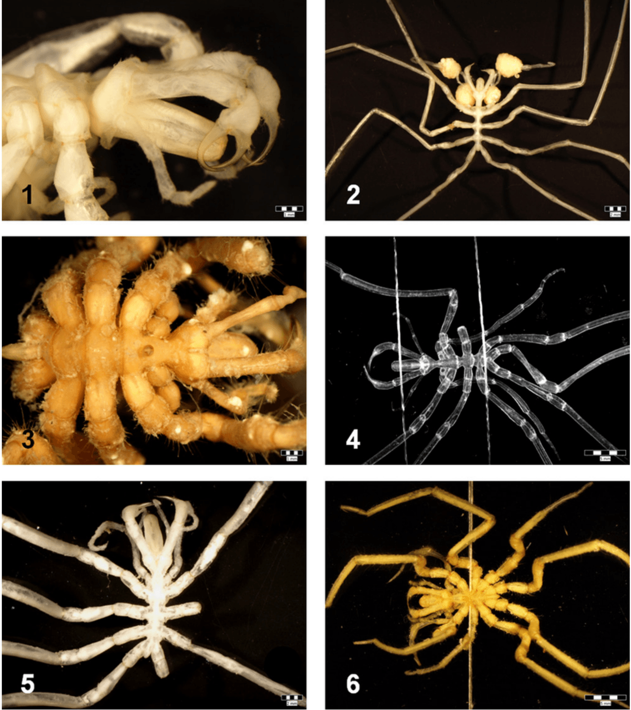 Adsız tasarım (6).png