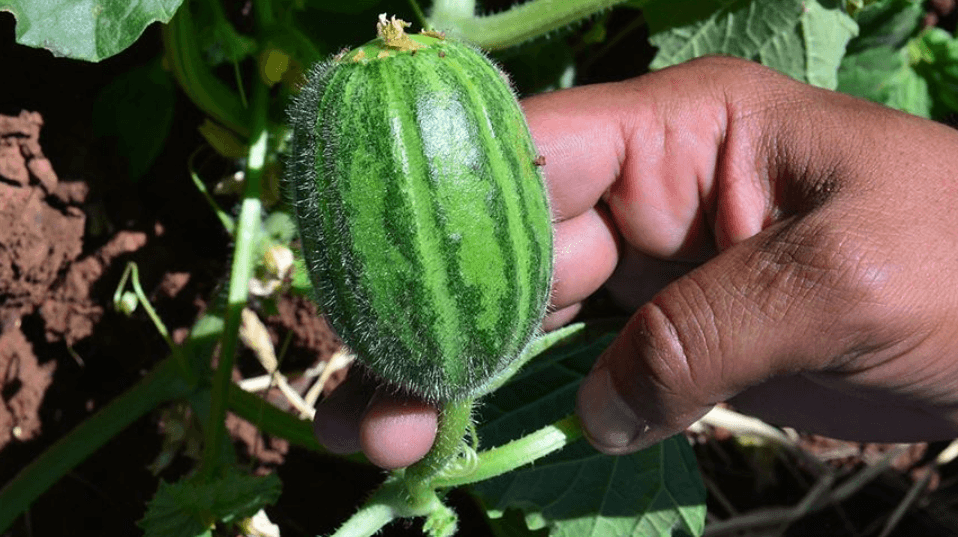 Снимок экрана 2026-03-13 221503.png