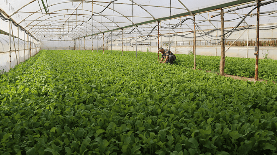 Снимок экрана 2026-03-17 000741.png