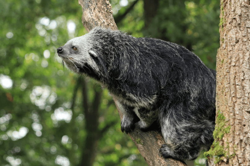 Снимок экрана 2026-03-16 054552.png