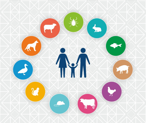 Снимок экрана 2026-03-17 135328.png