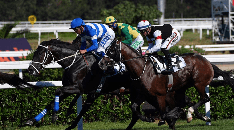 Ekran görüntüsü 2026-04-13 140150.png