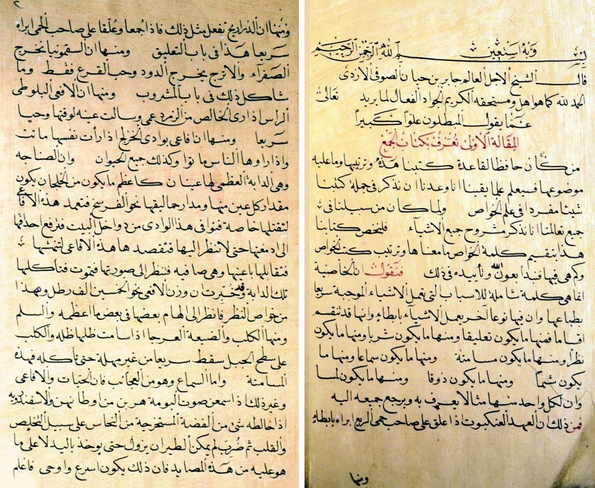 Câbir b. Hayyân’ın el-Ḫavâṣṣü’l-kebîr adlı eserinin ilk iki sayfası (Süleymaniye Ktp., Bağdatlı Vehbi Efendi, nr. 2280)