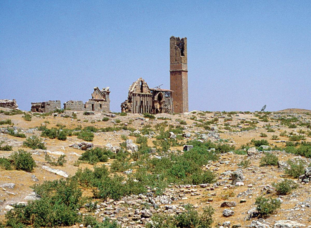 Harran Ulucamii’nin kalıntıları – Şanlıurfa