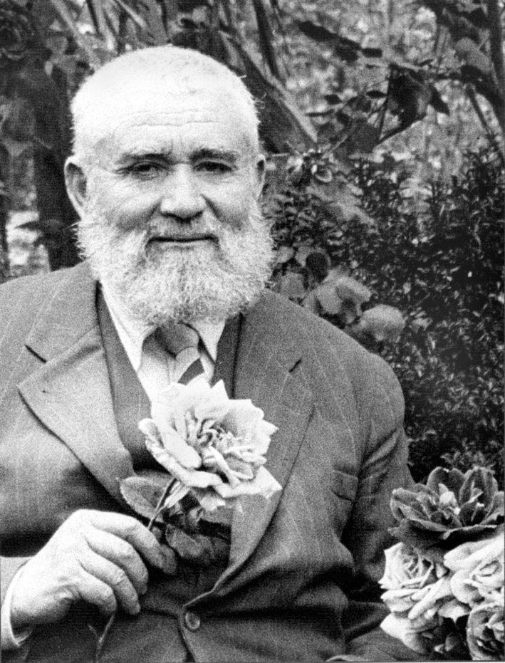 Mehmed Necmeddin Okyay