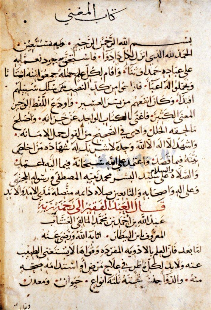 İbnü’l-Baytâr’ın el-Muġnî fi’l-edviyeti’l-müfrede adlı eserinin ilk sayfası (Süleymaniye Ktp., Fâtih, nr. 3633)