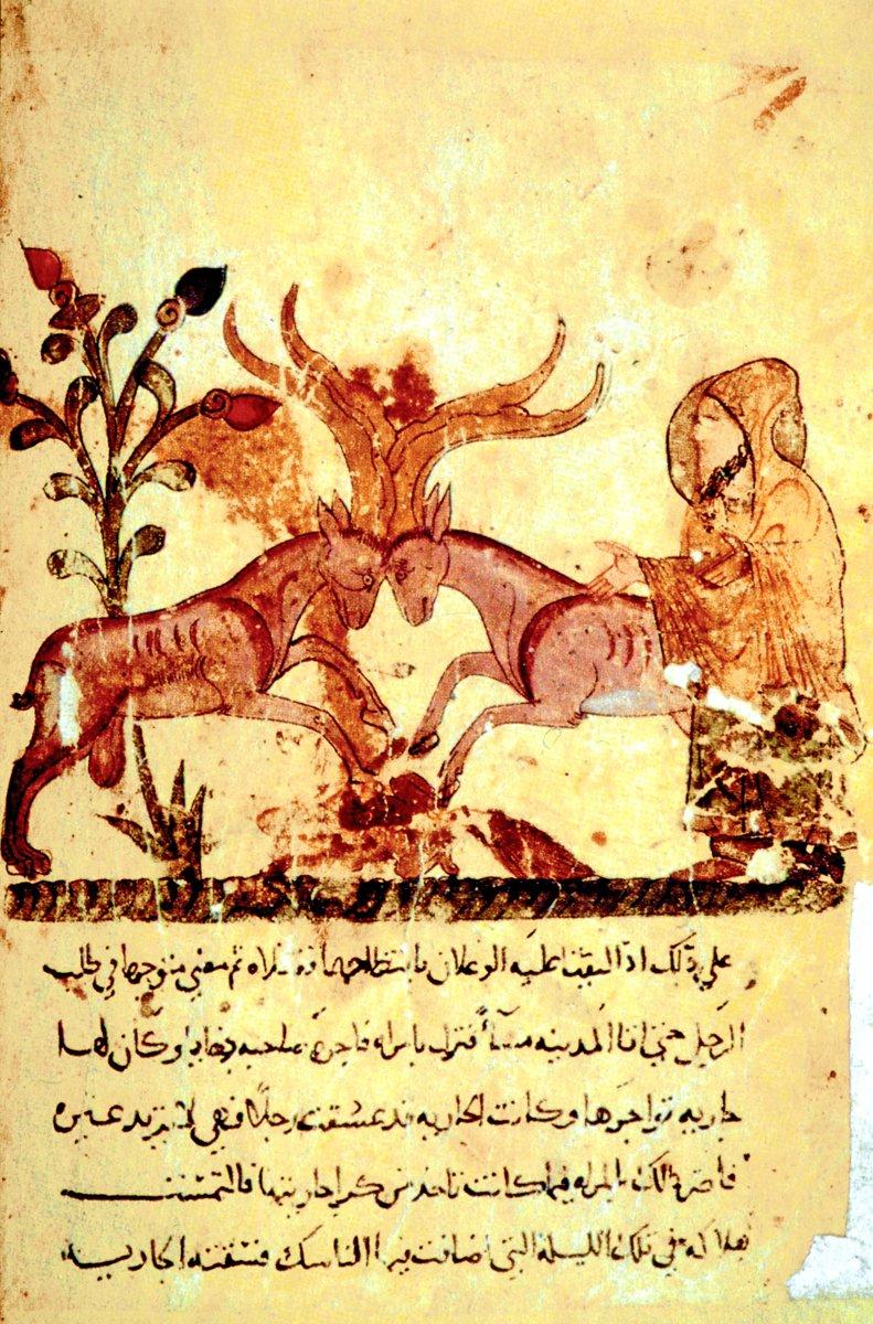 İbnü’l-Mukaffa‘ın Kelîle ve Dimne tercümesinden minyatürlü bir sayfa (Münih Bayerische Staatsbibliothek, Cod. Arab, nr. 616, vr. 48b)