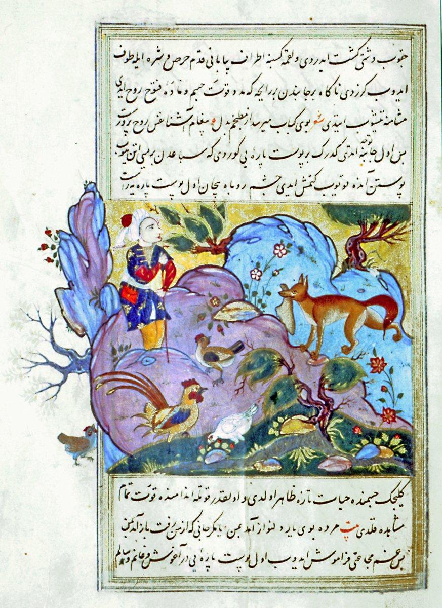 Hümâyunnâme’de aç kalan tilkinin yiyecek bulmasının hikâye edildiği minyatürlü bir sayfa(vr. 130a)