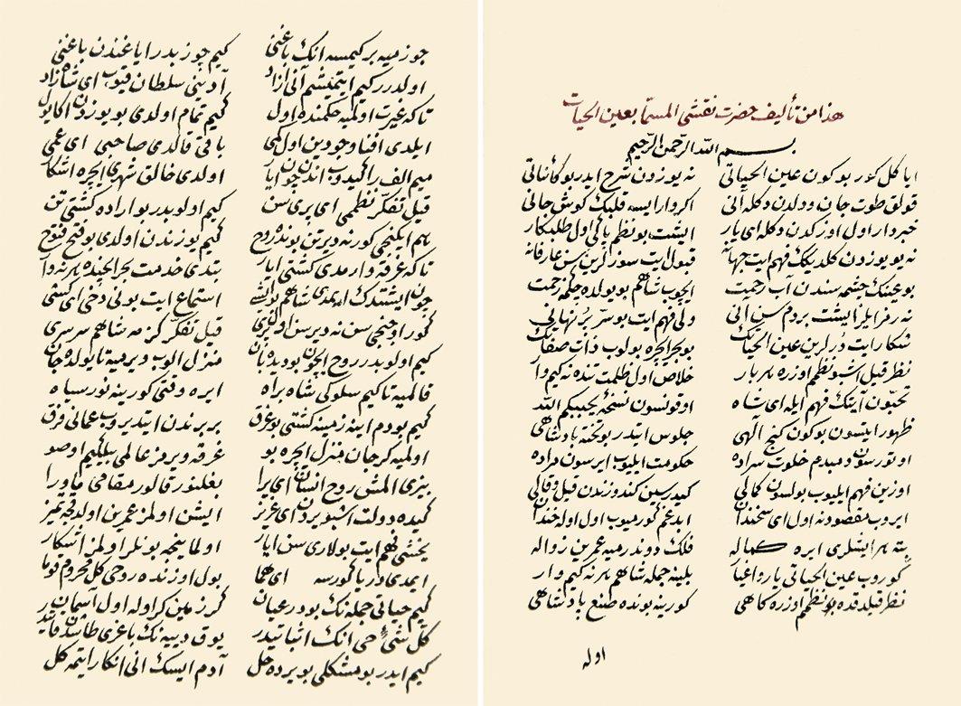 Nakşî-i Akkirmânî’nin Aynü’l-hayât adlı eserinin ilk ve son sayfaları (Süleymaniye Ktp., Hacı Mahmud Efendi, nr. 3537)