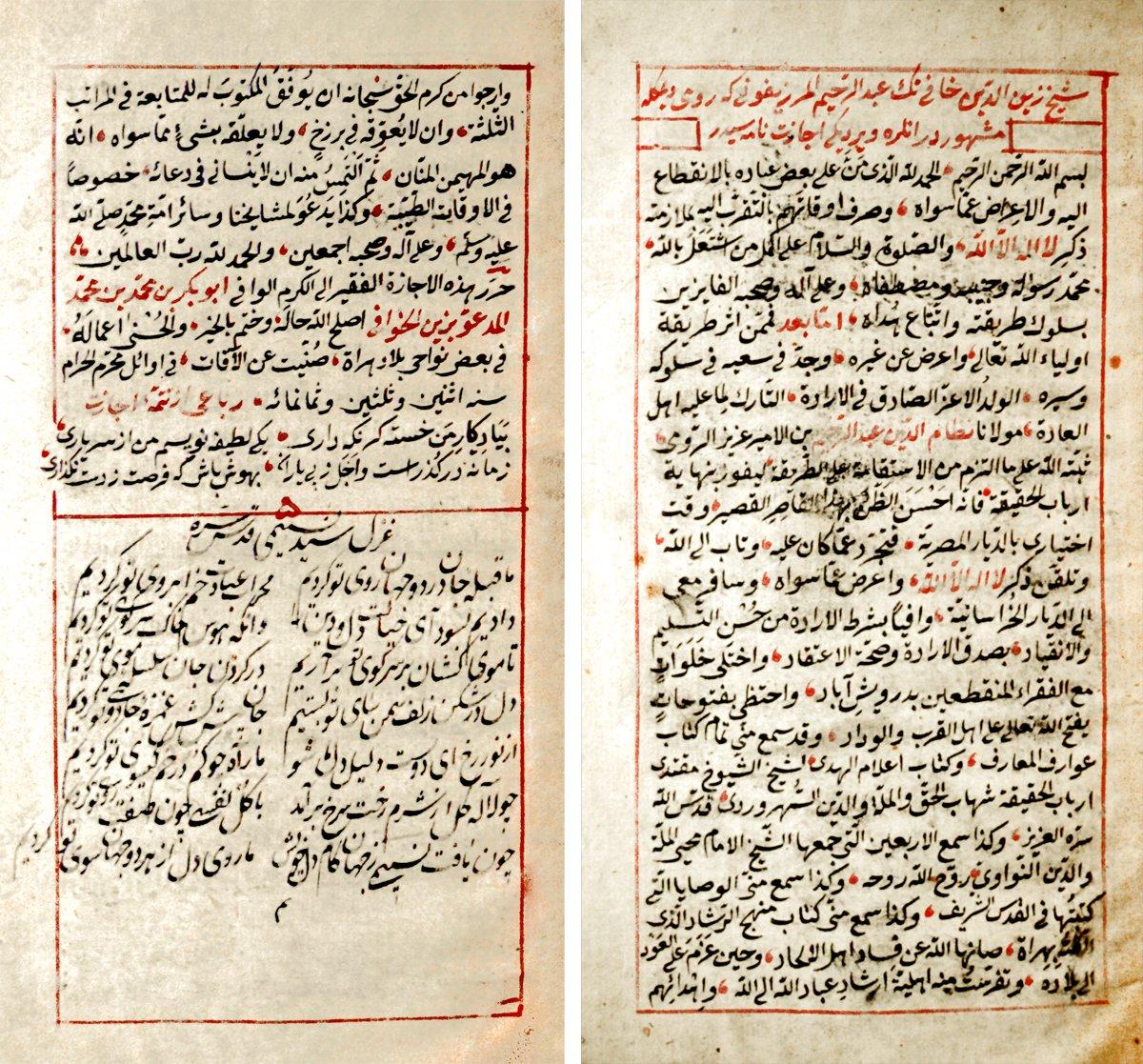 Zeynüddin el-Hâfî’nin 832 (1429) yılı başında verdiği tarikat icâzetinin ilk ve son sayfaları (MÜİF Ktp., Hakses Koleksiyonu, nr. 355/4, vr. 11a, 12a)