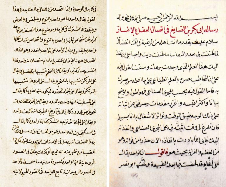 İbn Bâcce’nin İttiṣâlü’l-ʿaḳl bi’l-insân adlı eserinin ilk iki sayfası (Süleymaniye Ktp., Hacı Mahmud Efendi, nr. 5683/3)