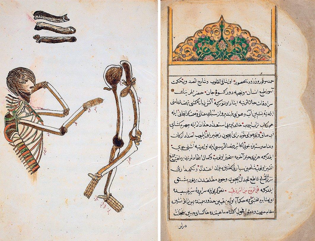 Şemseddîn-i Itâkī’nin Teşrîhu’l-ebdân adlı eserinden iki sayfa (Süleymaniye Ktp., Bağdatlı Vehbi Efendi, nr. 1476, vr. 1b, 33a)