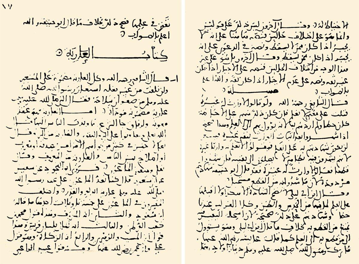 el-Ḥâvi’l-kebîr’den iki sayfa (Dârü’l-kütübi’l-Mısriyye, Fıkhu’ş-Şâfiî, nr. 189, vr. 16b-17a)
