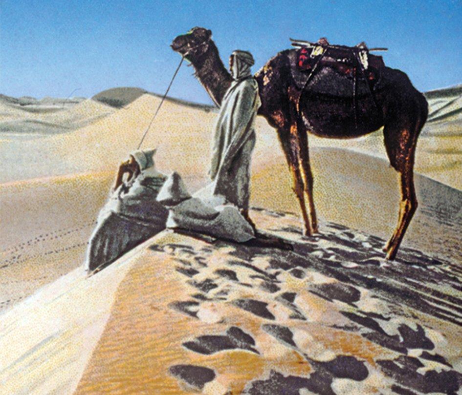 Çölde bedevîler (Muhittin Serin kartpostal koleksiyonu)