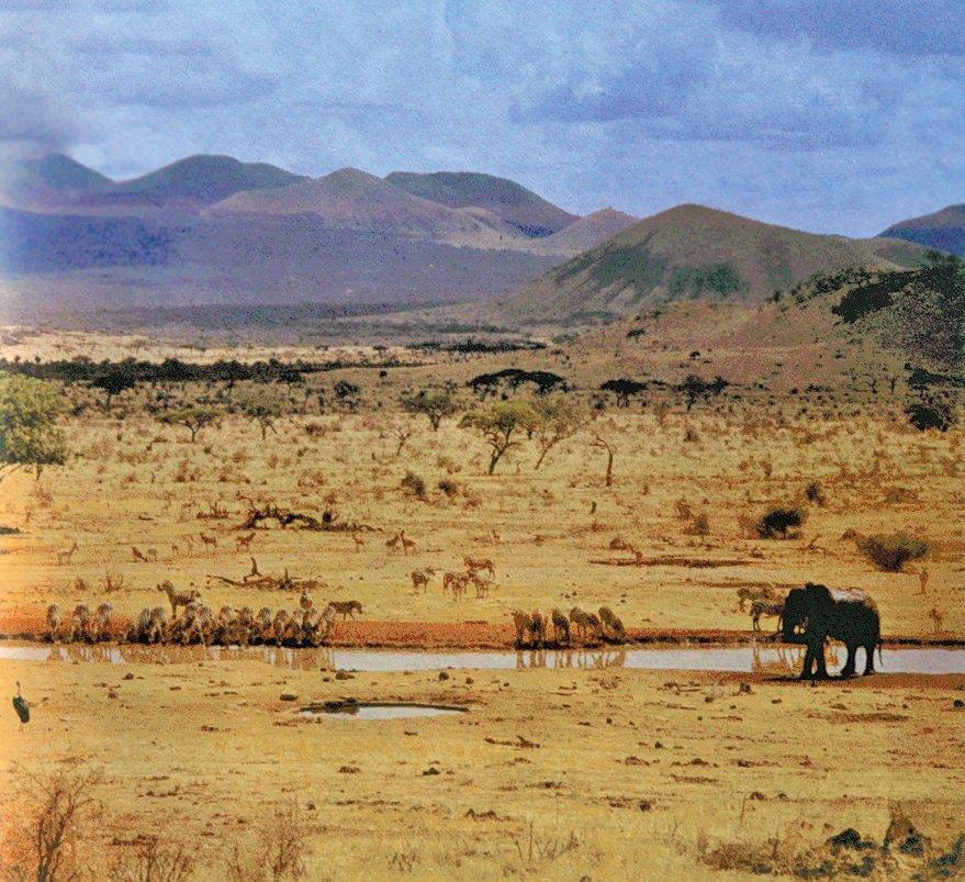 Kenya Tsavo Millî Parkı’ndan bir görünüş