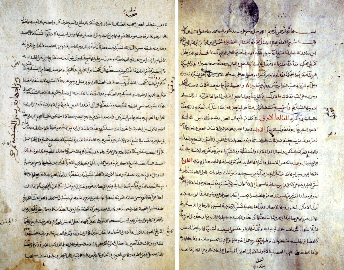 İbnü’l-Ekfânî’nin Keşfü’r-reyn fî aḥvâli (emrâżi)’l-ʿayn adlı eserinin ilk iki sayfası (TSMK, III. Ahmed, nr. 1968)