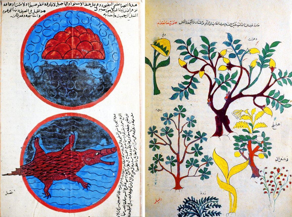 İbn Zünbül’ün el-Ḳānûn fi’d-dünyâ adlı eserinden tasvirli iki sayfa (TSMK, Revan Köşkü, nr. 1638, vr. 395b, 438b)