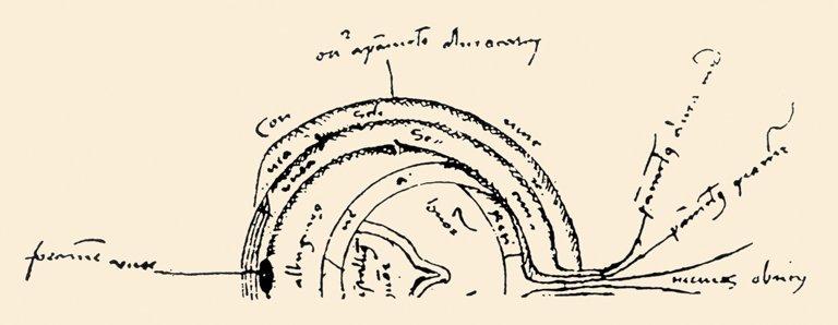 İbn Sînâ’nın el-Ḳānûn fi’ṭ-ṭıbb’ının 1479’da basılan Latince nüshasındaki göz anatomisine dair çizim