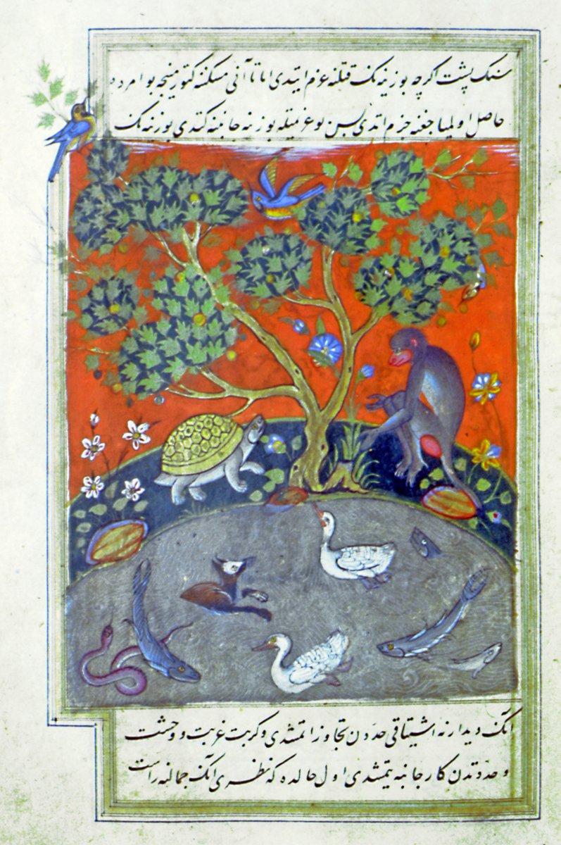 Hümâyunnâme’de kaplumbağa ile maymun hikâyesinin anlatıldığı bir diğer sayfa (vr. 287a)