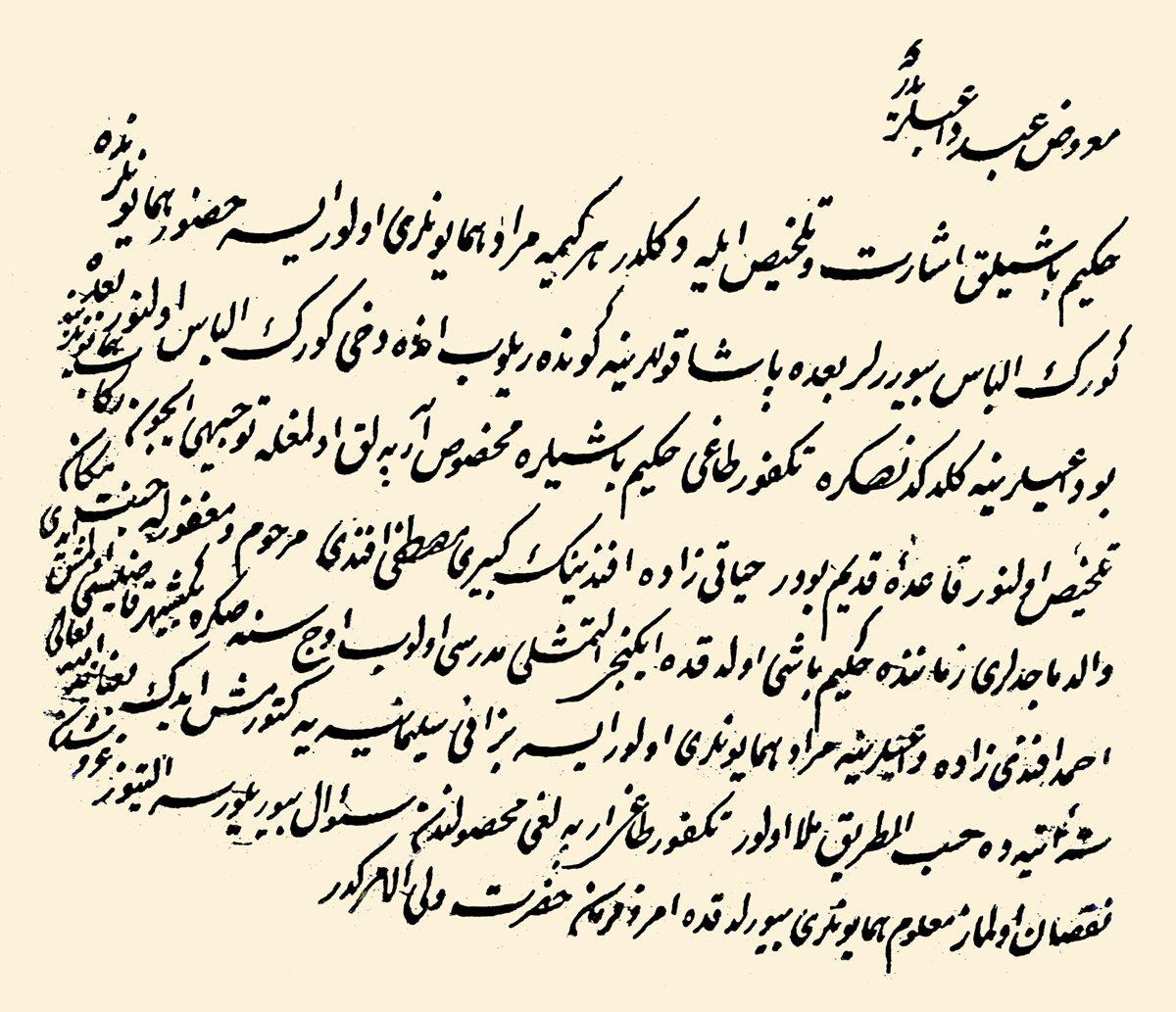 Hekimbaşı tayini ve arpalığı hakkında bir arz (TSMA, nr. E. 668)