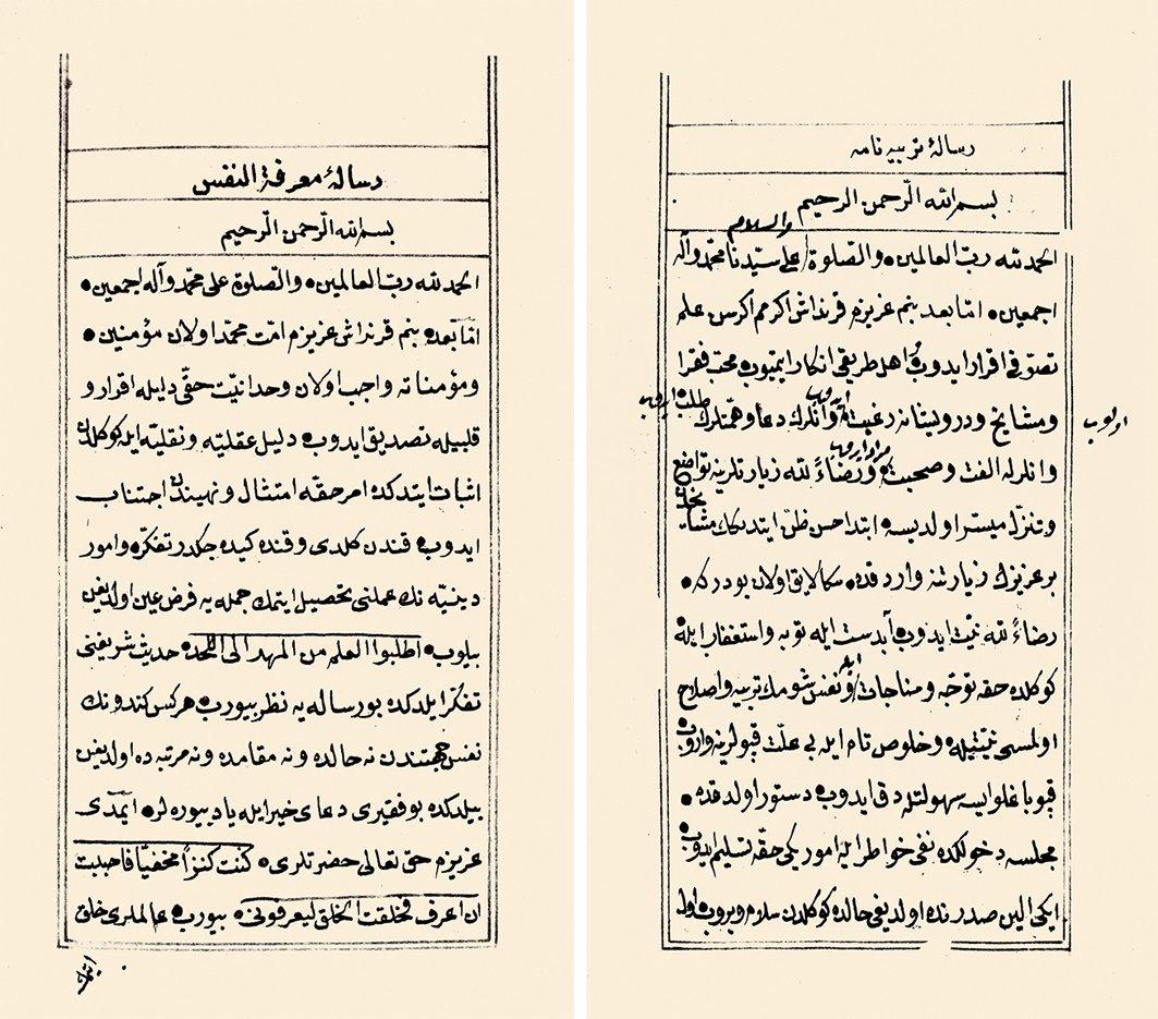 Mehmed Sâdık Erzincânî’nin Risâle-i Terbiyenâme ve Risâle-i Ma‘rifetü’n-nefs adlı eserlerinin ilk sayfaları (Süleymaniye Ktp., Uşşâkī Tekkesi, nr. 428/1 ve 3)