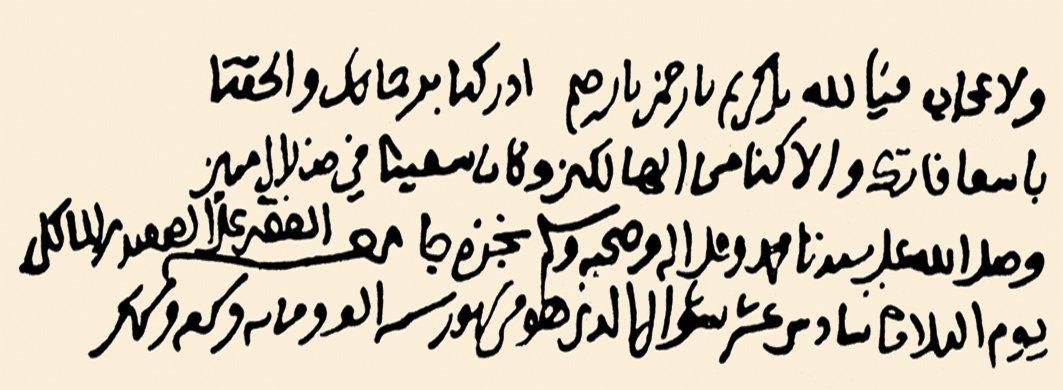 Ali b. Ahmed el-Adevî’nin el yazısı