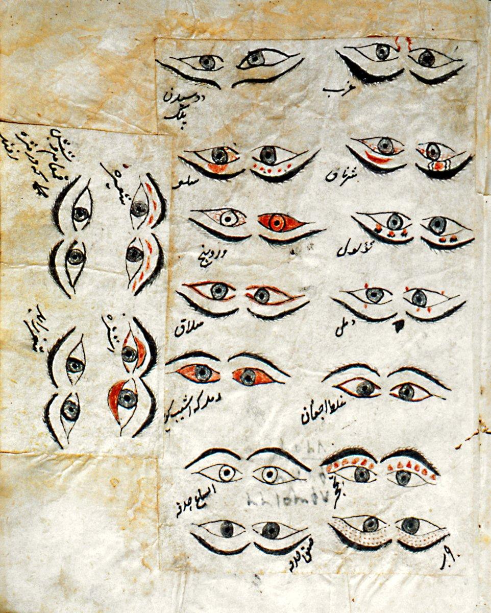 Teẕkiretü’l-keḥḥâlîn’den bir başka sayfa (İÜ Ktp., FY, nr. 1367, vr. 72b)