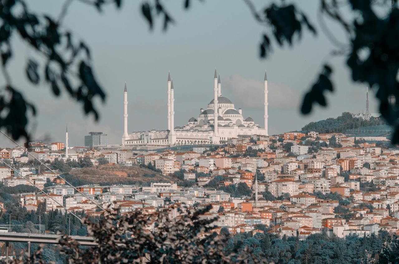 pexels-bozanguzel-12651496.jpg