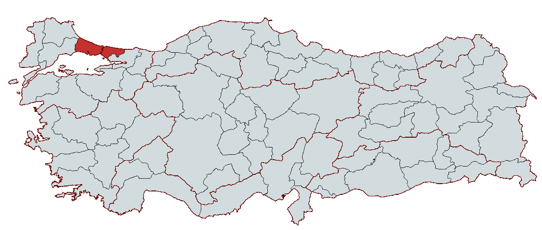 istanbul___.png
