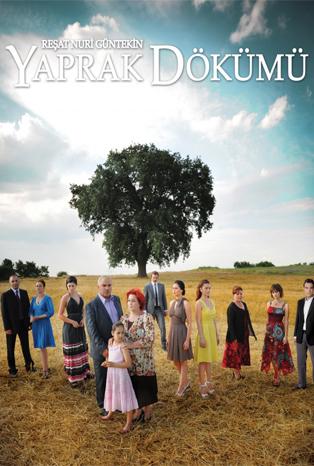 yaprak-dokumu.jpg