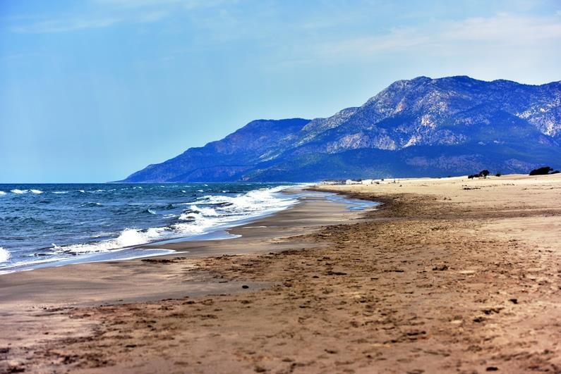 382619,patara13jpg.png