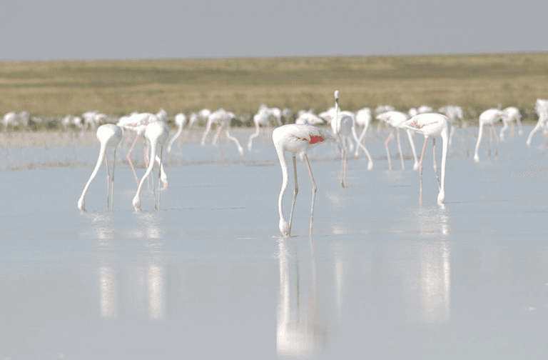 Ekran görüntüsü 2025-02-21 161221.png