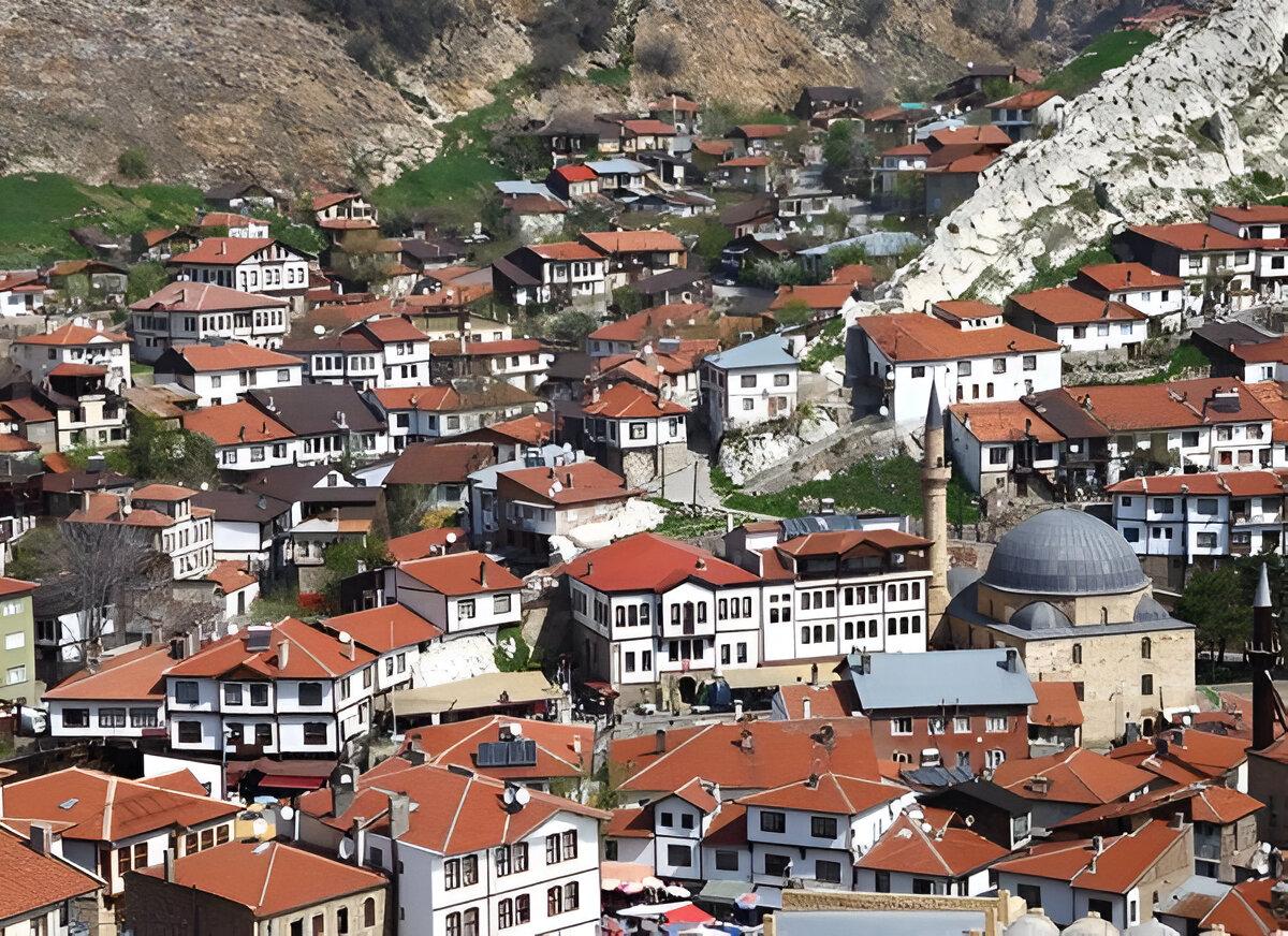 336375,dmagecicibeypazari2jpg.jpg