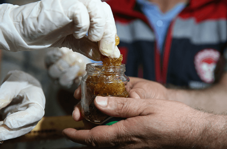 Ekran görüntüsü 2025-04-21 231525.png