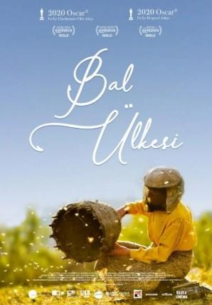 bal.jpg
