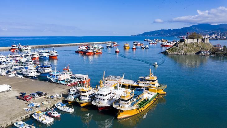 Tirebolu (İlçe)
