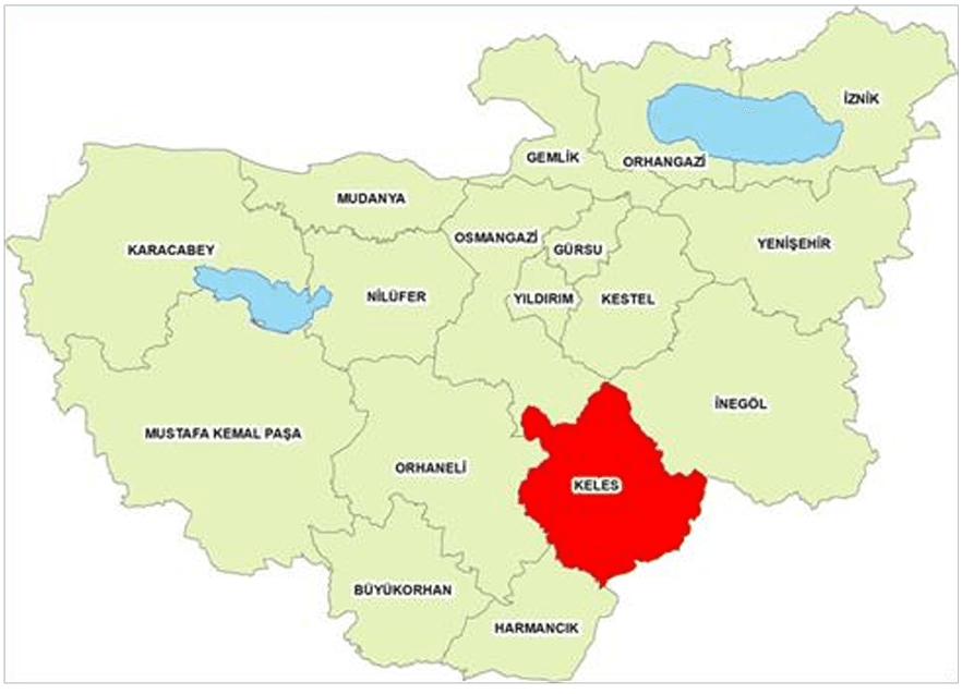 Ekran görüntüsü 2025-04-19 231444.png