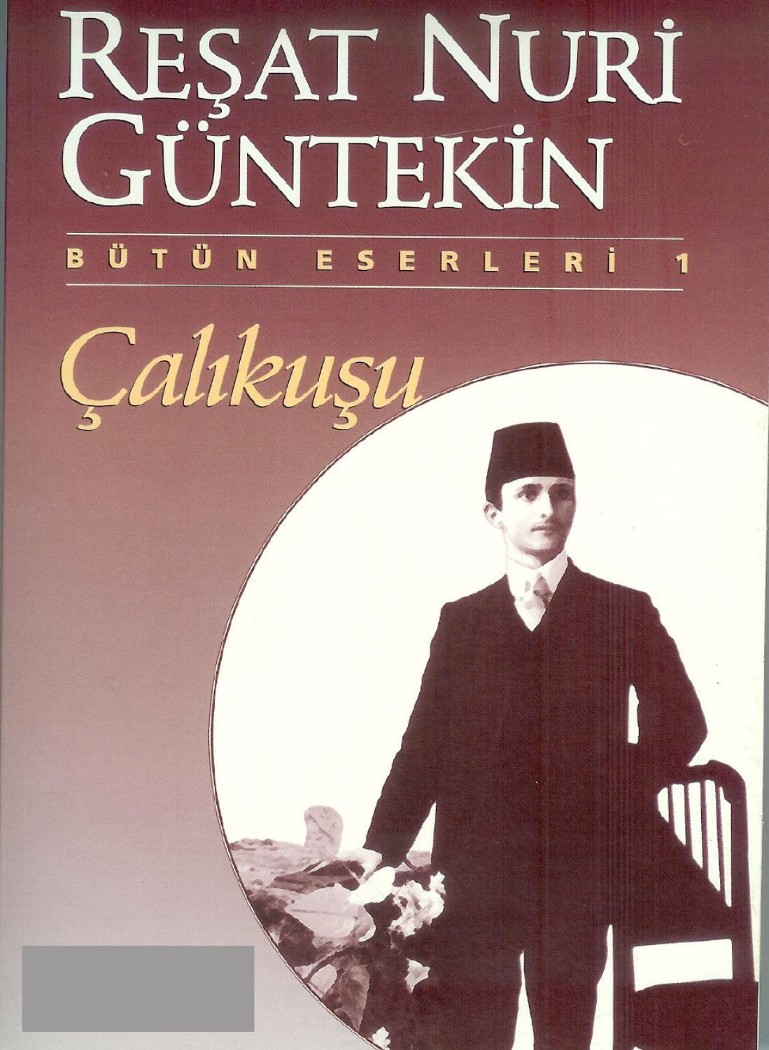 Çalıkuşu (Roman)