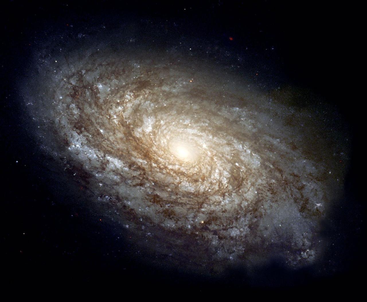 ngc4414.jpeg