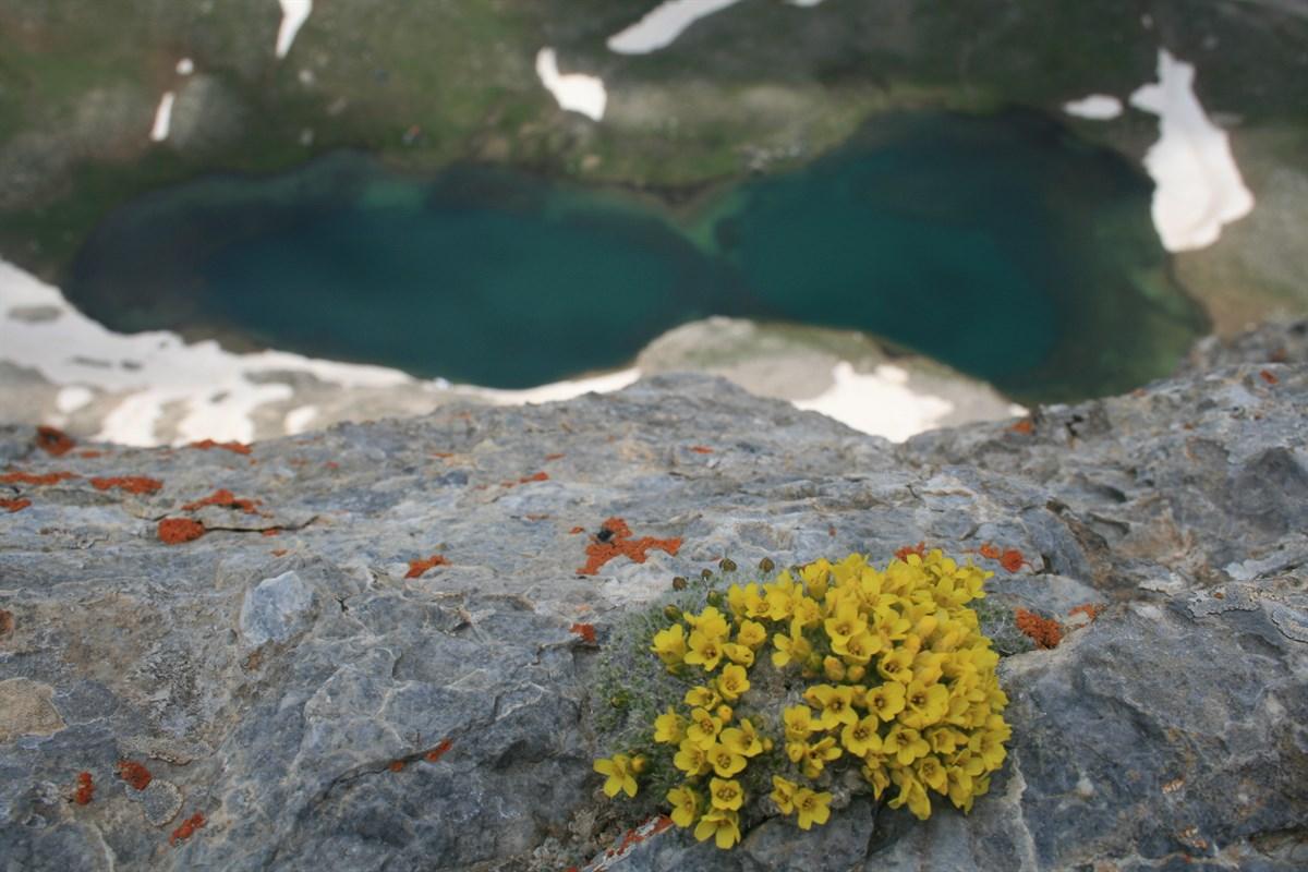 Karagöl (Niğde)