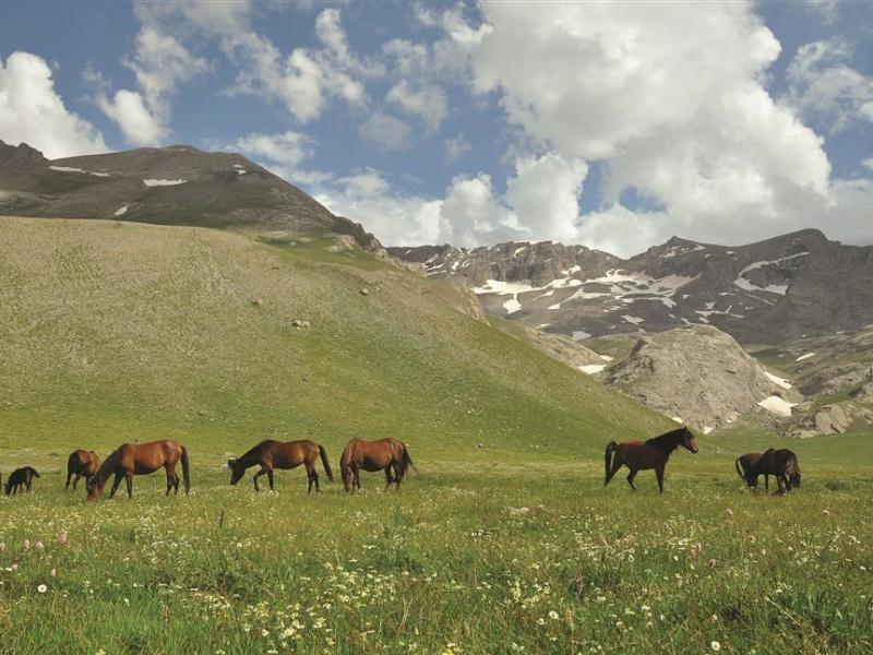 Bolkar Dağları