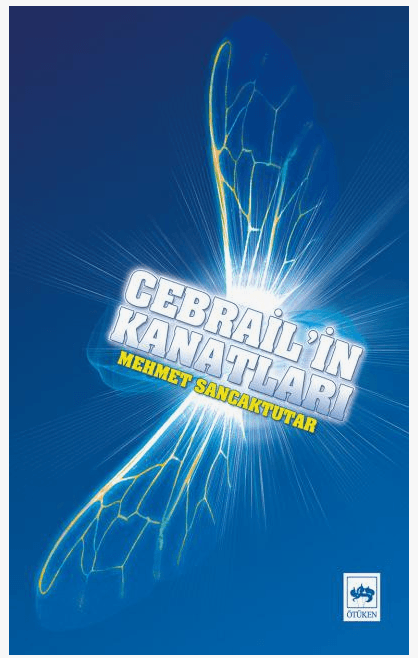 Ekran görüntüsü 2025-05-29 190823.png