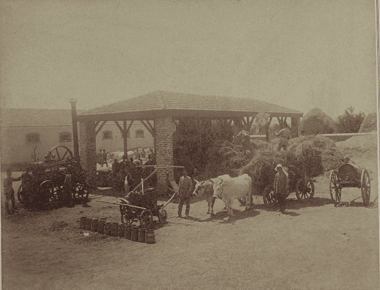 Ekran görüntüsü 2025-05-29 172759.png