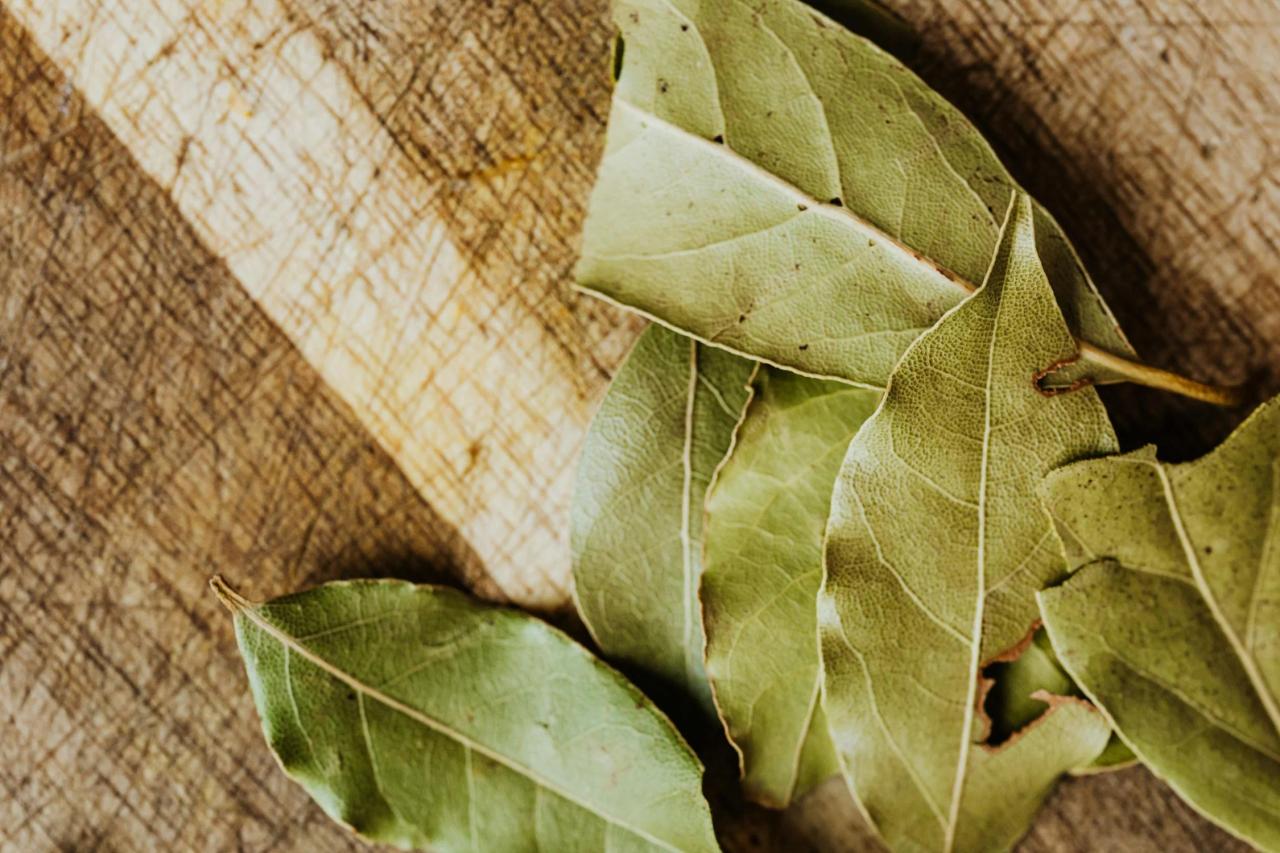 pexels-photo-4871128.webp