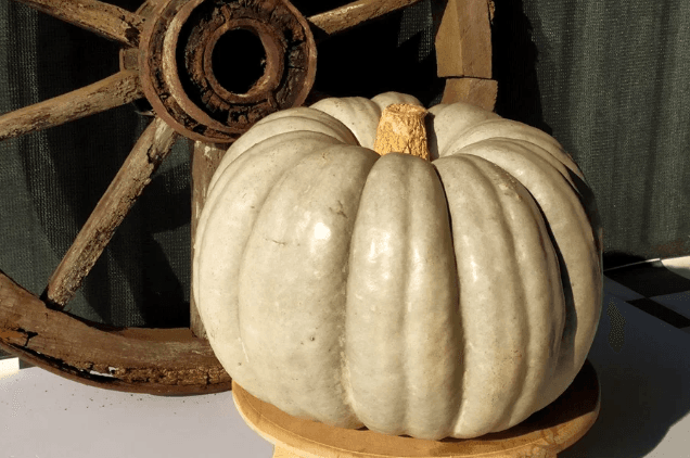 Ekran görüntüsü 2025-05-30 191205.png