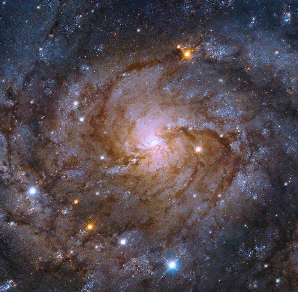 hubble_ic342_mosaicnew_acscrop2_flat_cont4_finalcrop3-jpg.webp